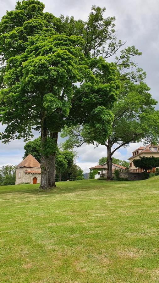 Bed and Breakfast Domaine De Montvianeix Saint-Victor-Montvianeix Экстерьер фото