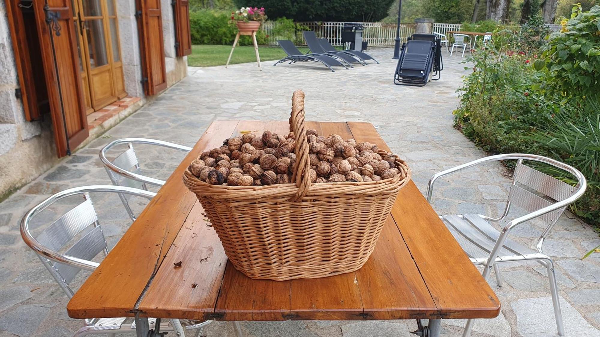 Bed and Breakfast Domaine De Montvianeix Saint-Victor-Montvianeix Экстерьер фото