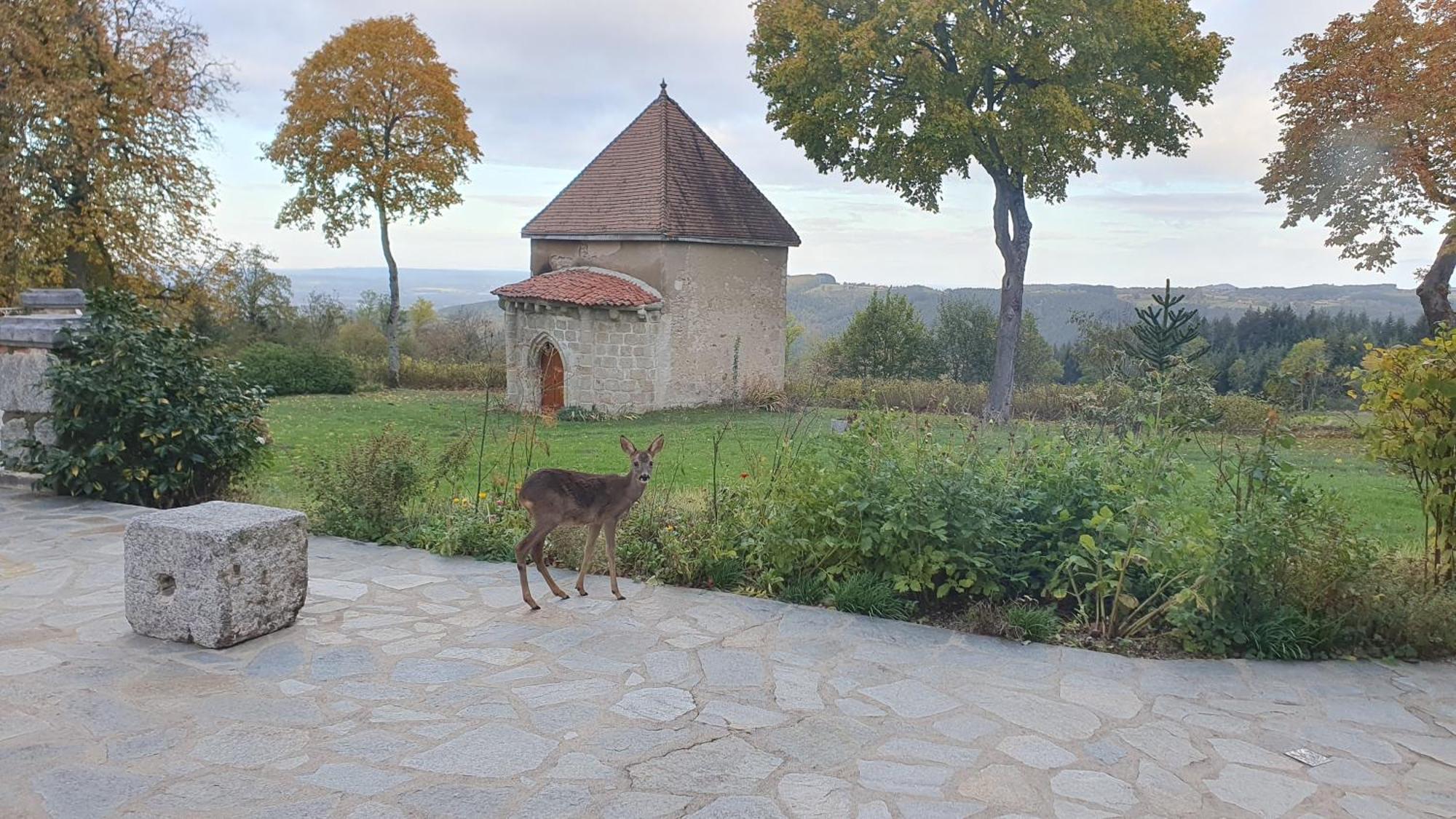 Bed and Breakfast Domaine De Montvianeix Saint-Victor-Montvianeix Экстерьер фото